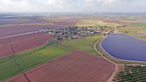 ‏‏לכידה.PNG