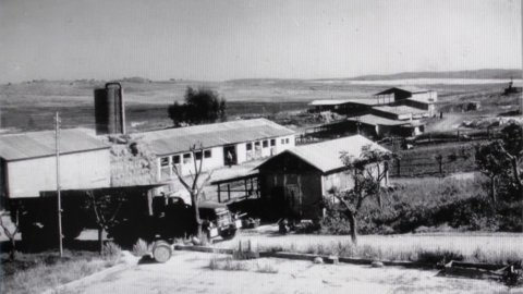 1959 כפר מנחם.jpg
