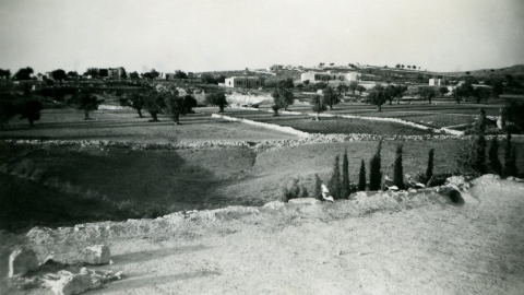 לאחר כיבוש בית גוברין-נובמבר 1948 -1.jpg