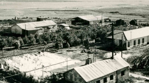 1950 גת.jpg