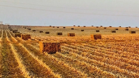 20180927_064619_HDR-01.jpeg