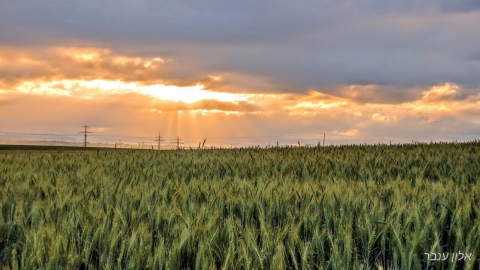 20210308_064137_HDR~2.jpg