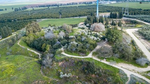 גבעת תום ותומר.jpg