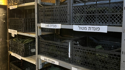 אמלחיה (2).jpeg
