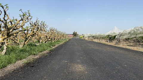 IMG_7901.JPG