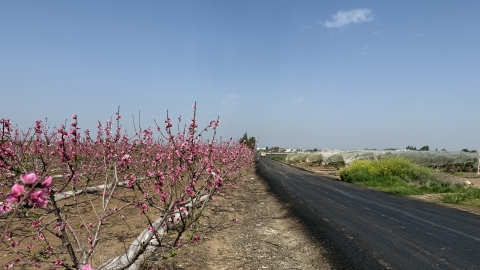 IMG_7902.JPG
